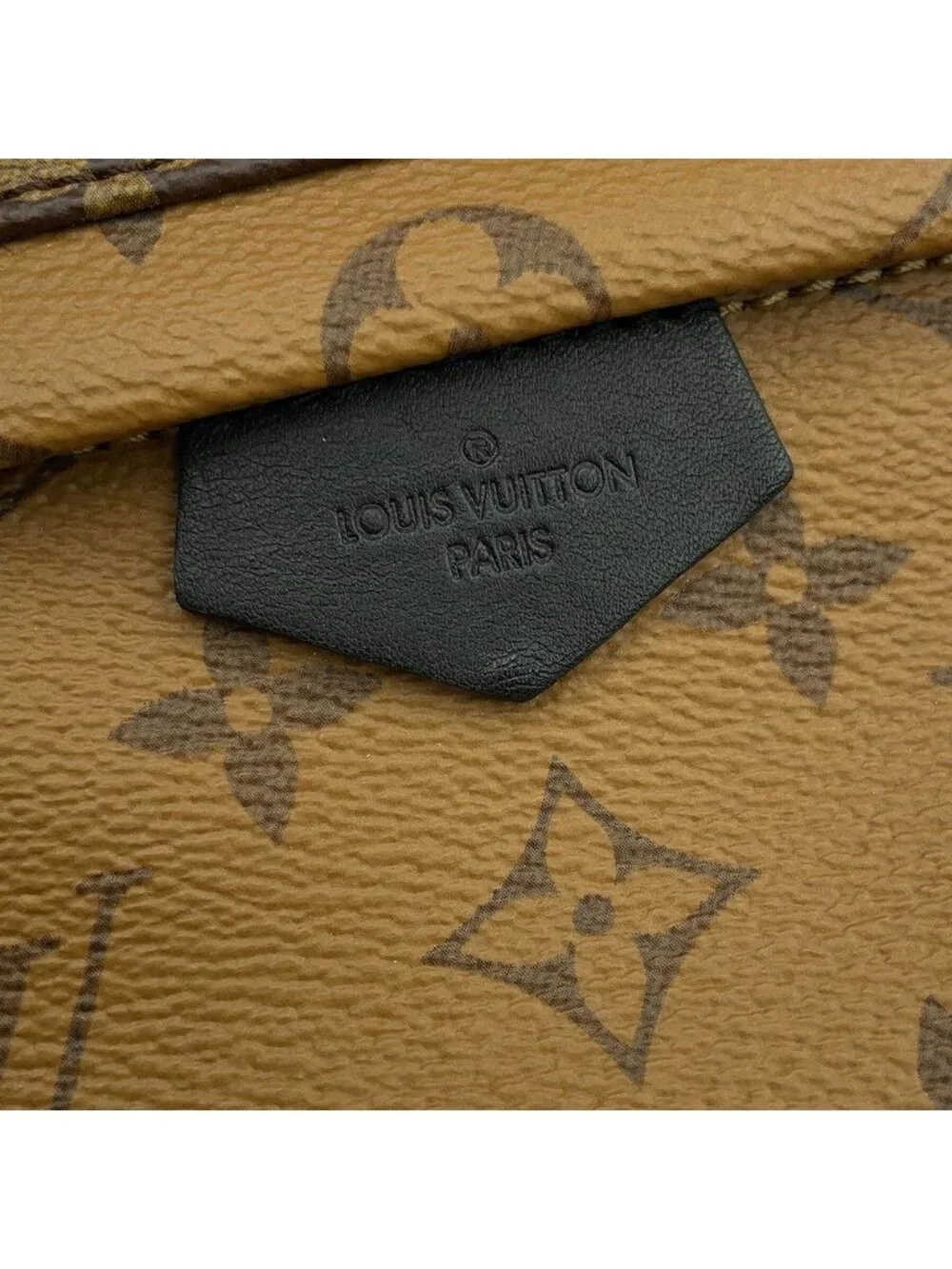 Louis Vuitton Backpack Monogram Reverse Palm Springs PM Black